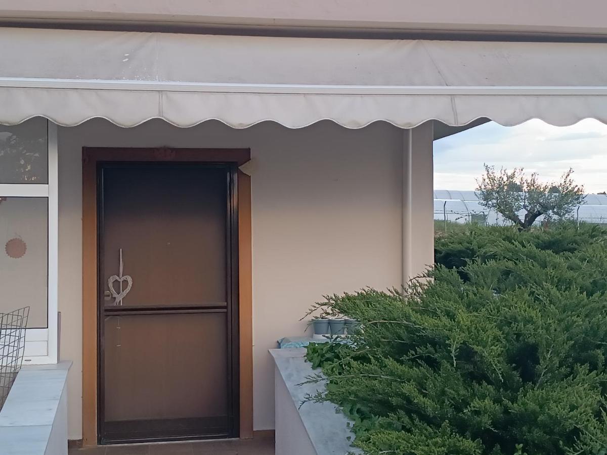 הוילה ניאה מיכאניונה The Secret Olive House מראה חיצוני תמונה