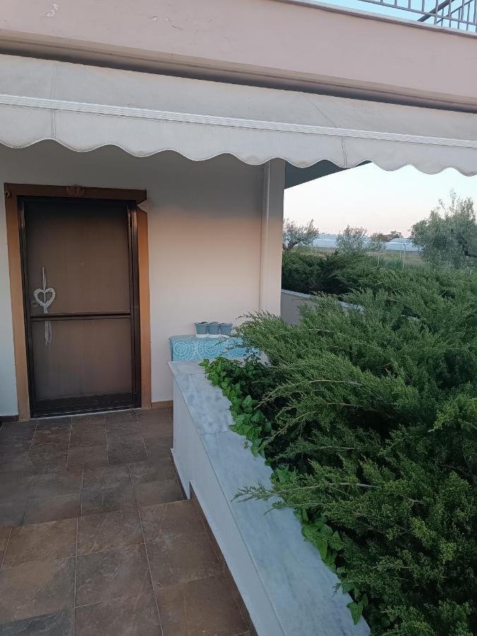 הוילה ניאה מיכאניונה The Secret Olive House מראה חיצוני תמונה